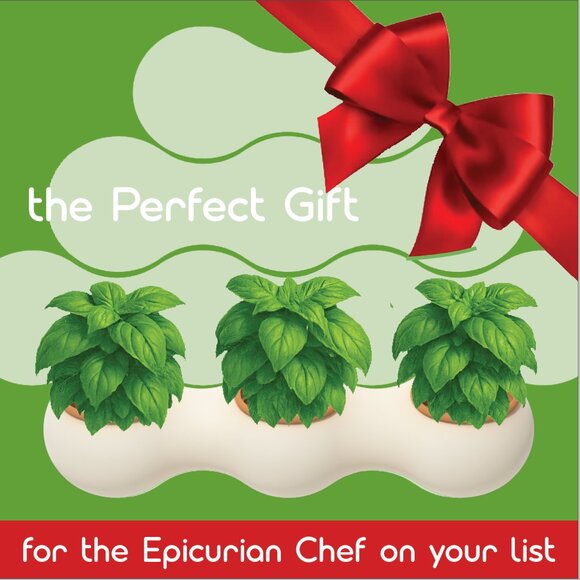 NUAGE Vertical Garden - Picture 12 of 14